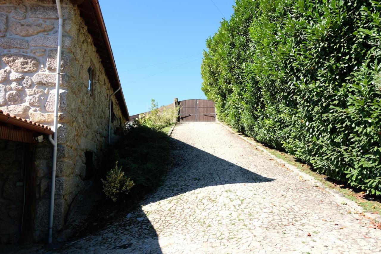 Casa Das Andorinhas Celorico De Basto Eksteriør billede