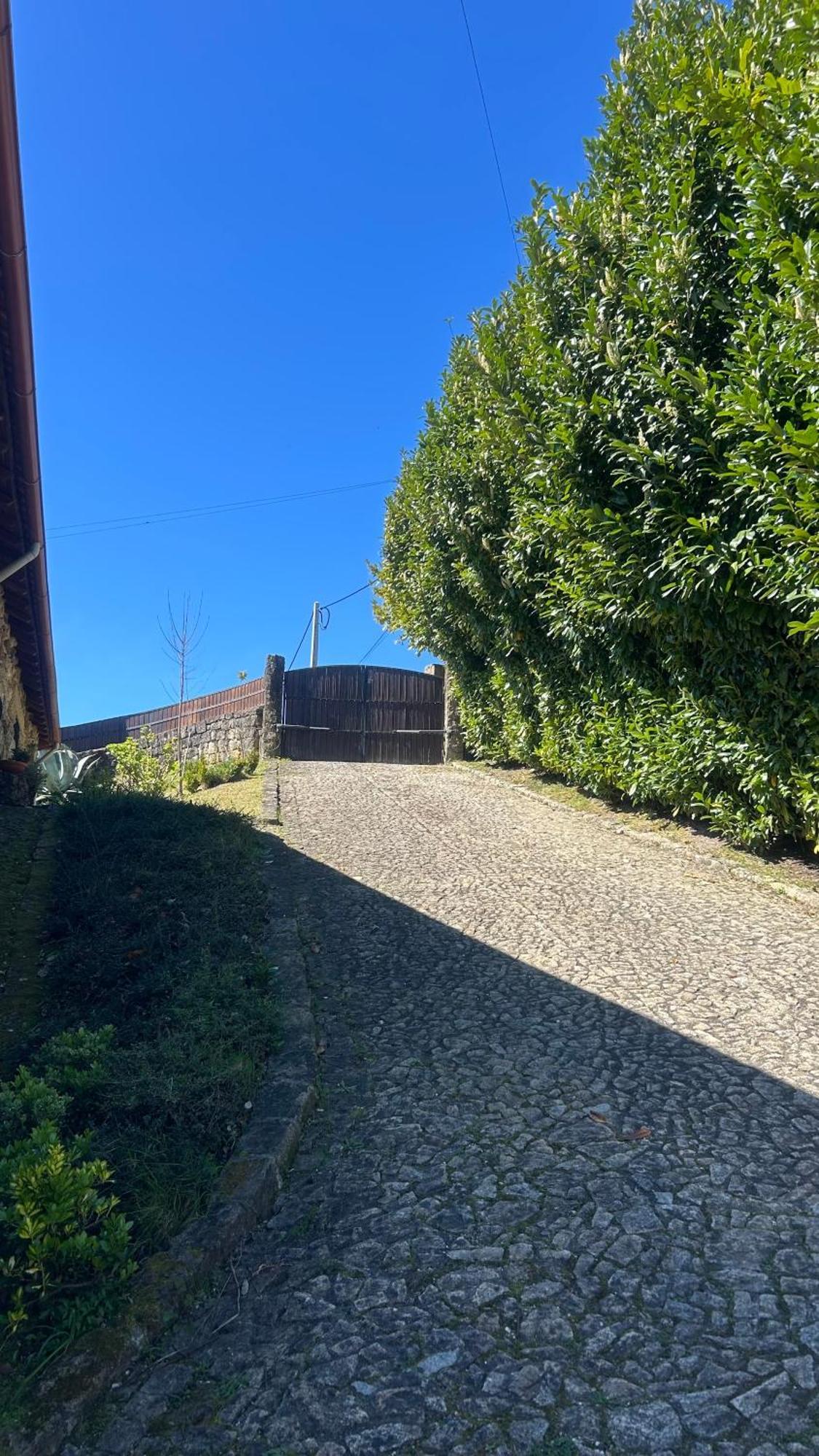 Casa Das Andorinhas Celorico De Basto Eksteriør billede