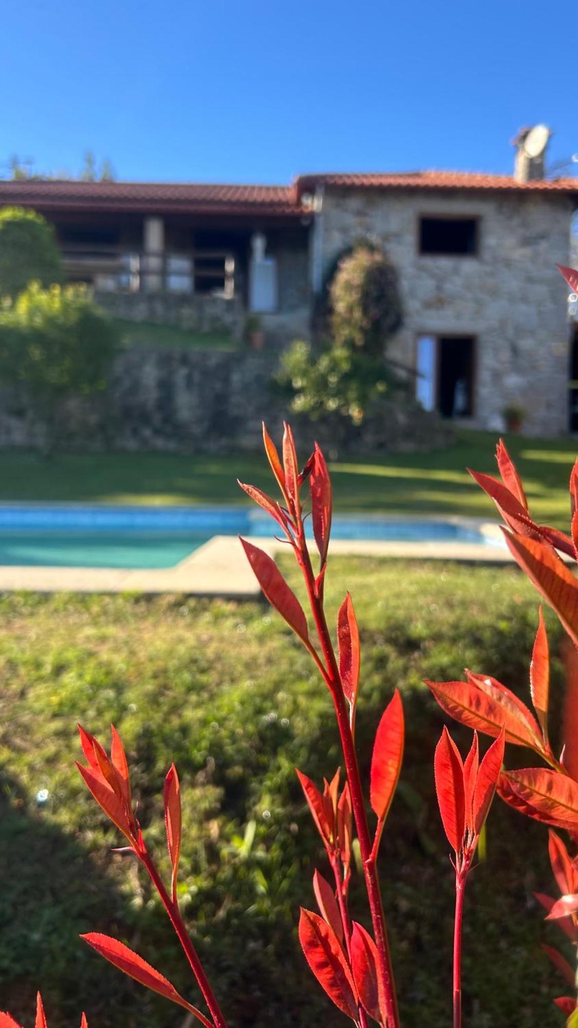 Casa Das Andorinhas Celorico De Basto Eksteriør billede